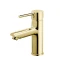 opt-fd_flusso_gold_fd1-fls-2-55_pp_01.webp