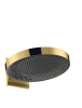 HG.png