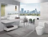 csm_VB_ARCHITECTURA_2020_120218_WCCombi_WT_eckig_f87b91e7f1.webp
