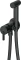 BQS_N34M.webp
