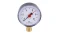 2.webp