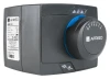 4.webp