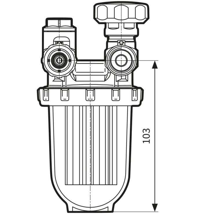 5.webp