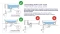 3.webp