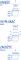 3.webp