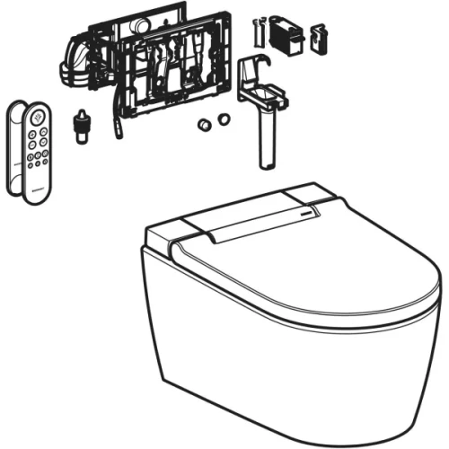 2.webp