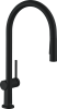 hans1.png