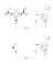 ANW_X51B_rys.webp