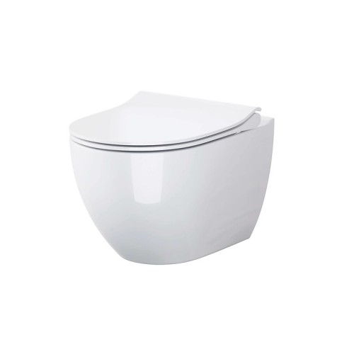 b246_a_zen_wall_hung_bowl_dur_toilet_seat_slim_b,qnuMpq2lq3GXrsaOZ6Q.jpg