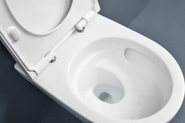 2025_icon WC TurboFlush_open lid_top view_cmyk.tif_geberit_dam-media-large(1).jpg