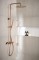 MOZA_PREMIUM_ROSE_GOLD_deszczownia_z_bateria_termostatyczna (3).jpg