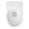 k116-168-pt_wall_hung_bowl_moduo_plus_pro_oval_vortex_top_4000,qnuMpq2lq3GXrsaOZ6Q.jpg