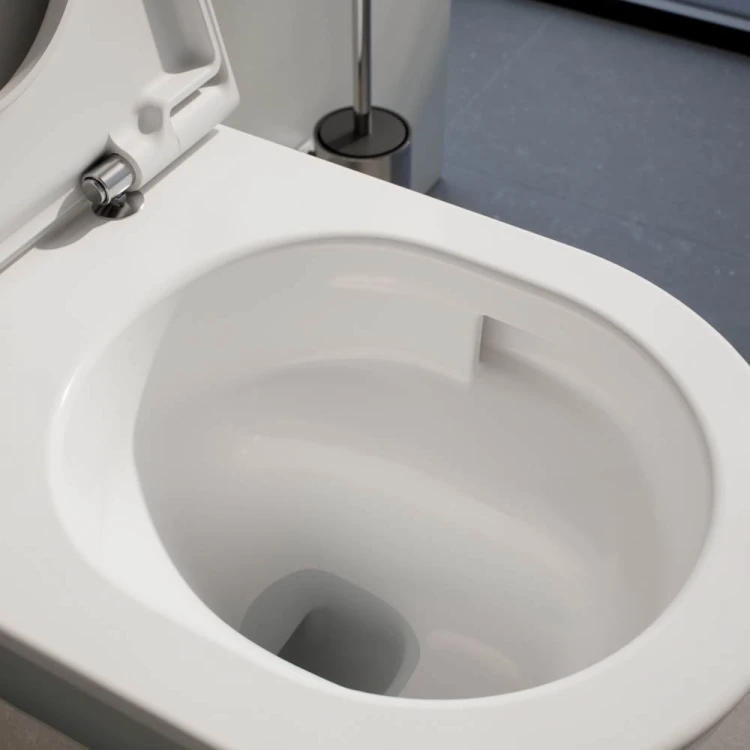 CP01_LAUFEN_PRO_X_H8208600000001_v02_Toilet_openseat_0007_t_CloseUp_Pictures_TF_Mob_clos_xxl_v2.jpg
