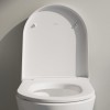CP01_LAUFEN_PRO_X_H8208600000001_v02_Toilet_opencover_0006_t_CloseUp_Pictures_TF_Mob_clos_xxl_v2.jpg