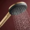 hansgrohe-raindance-alive-select-s-sluchawka-prysznicowa-125-3jet-braz-szczotkowany-24500140-24500140-lazienki-szydlowski (1).webp