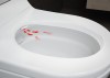 Toaleta myjąca GEBERIT AQUACLEAN TUMA Comfort z funkcją higieny intymnej, biała 146.292.11.1