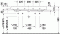 duravit1.gif
