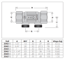 Zawór antyskażeniowy CALEFFI EA, 2" 304590