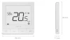 25.webp