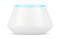 19.png