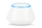 20.webp