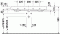 121.gif