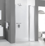Drzwi prysznicowe SANPLAST PRESTIGE DJ2/PRIII 110cm, szkło W0, srebrny błyszczący, Glass Protect 600073081038401